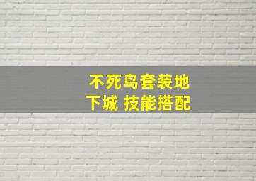 不死鸟套装地下城 技能搭配